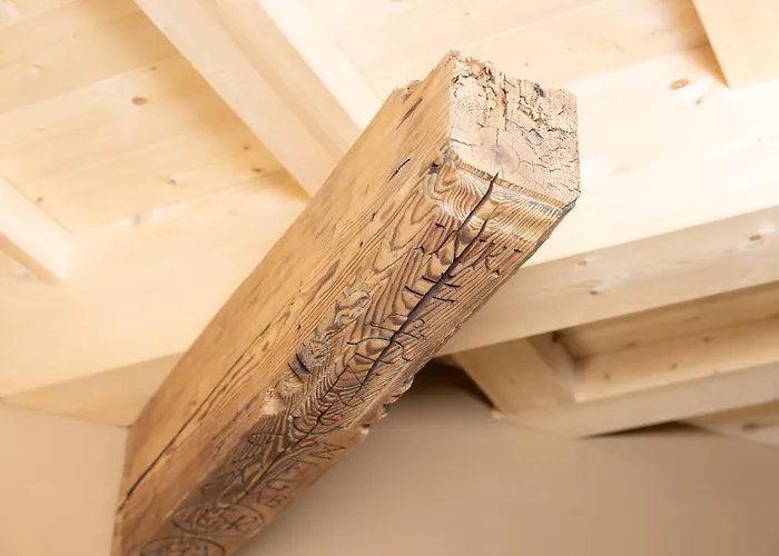 Bio-chalet Haus Wagner Casa vacanze *