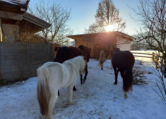 Bio-chalet Haus Wagner * Niederndorf (Tyrol)
