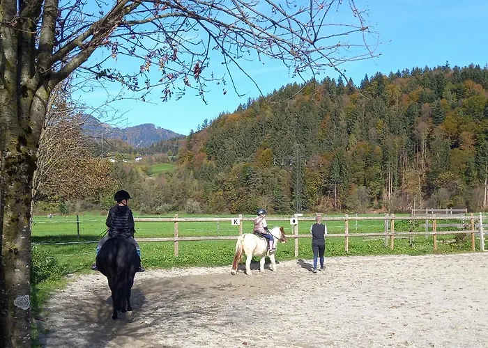 Bio-chalet Haus Wagner Casa vacanze *