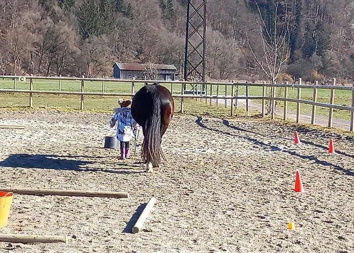 Casa vacanze Bio-chalet Haus Wagner *