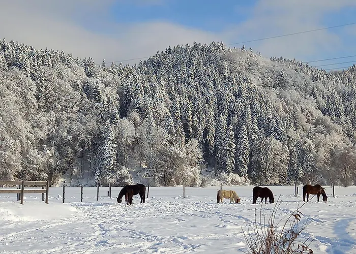 Bio-chalet Haus Wagner Casa vacanze Niederndorf (Tyrol)