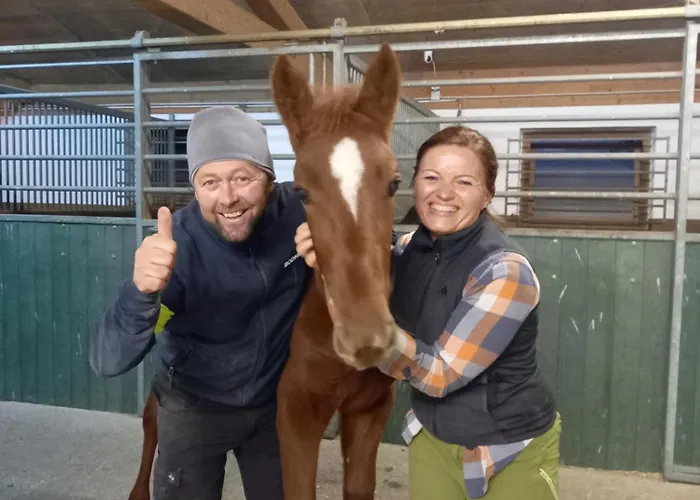 Bio-chalet Haus Wagner Casa vacanze *