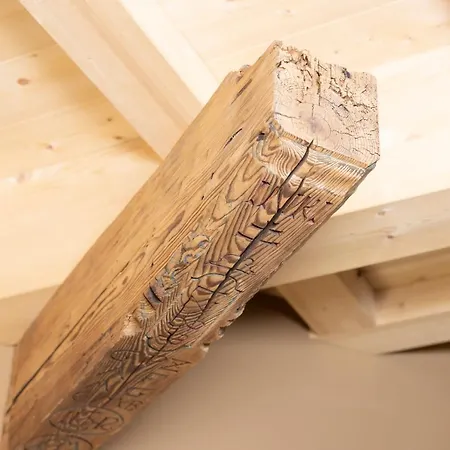 Bio-chalet Haus Wagner 度假居 *