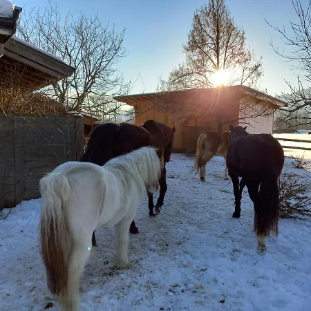 Bio-chalet Haus Wagner * Niederndorf (Tyrol)