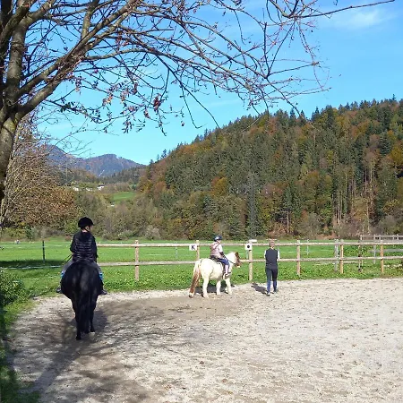 Bio-chalet Haus Wagner 度假居 *