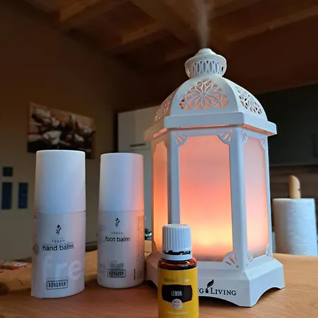 度假居 Bio-chalet Haus Wagner *