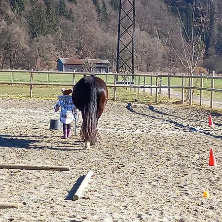 度假居 Bio-chalet Haus Wagner *