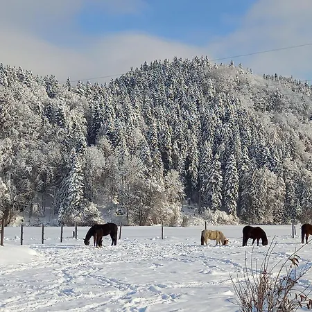 Bio-chalet Haus Wagner 度假居 Niederndorf (Tyrol)
