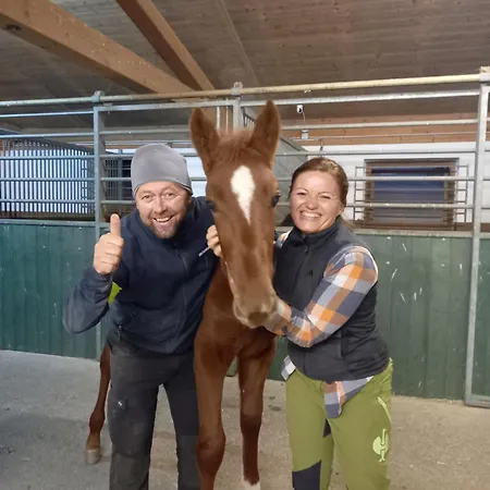 Bio-chalet Haus Wagner 度假居 *